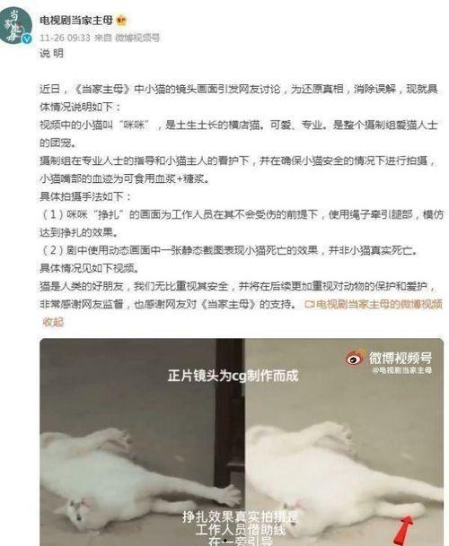 网友爆料电击视频大全,网友爆料电击视频大全汇总